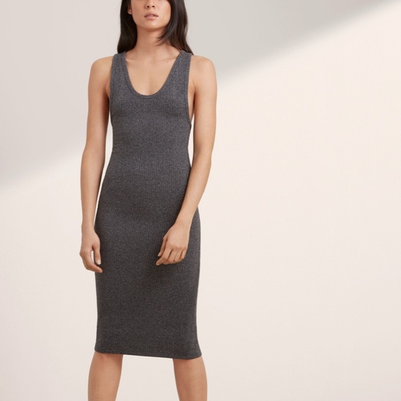 Aritzia COMMUNITY Rosenberg dress